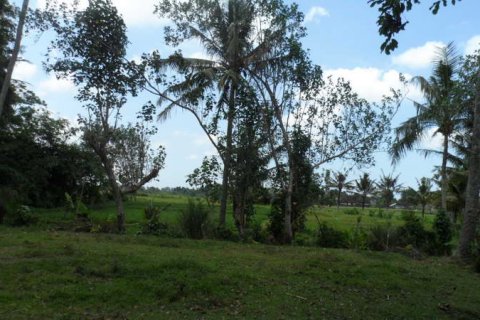 19400m2 Land in Tabanan, Bali (14008) 3