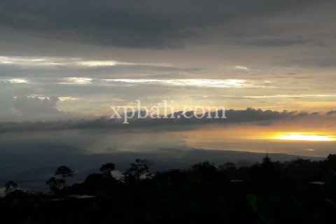 800m2 Land in Buleleng, Bali (14003)