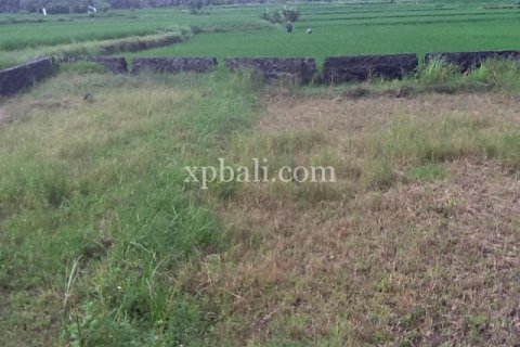 Tanah kavling 336m2 di Gianyar, Bali (14005) 4