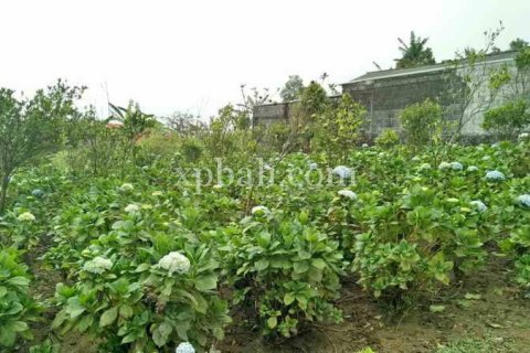 825m2 Land in Tabanan, Bali (14004)