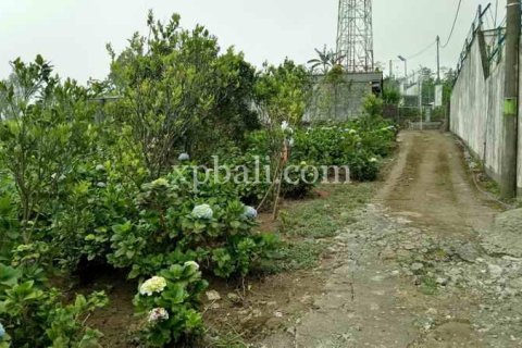 825m2 Land in Tabanan, Bali (14004) 2