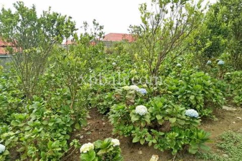 825m2 Land in Tabanan, Bali (14004) 5