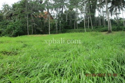 4175m2 Land in Gianyar, Bali (14006) 6