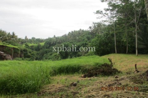 4175m2 Land in Gianyar, Bali (14006) 9