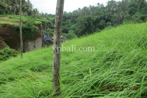 4175m2 Land in Gianyar, Bali (14006) 5