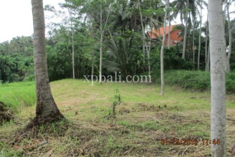 4175m2 Land in Gianyar, Bali (14006)