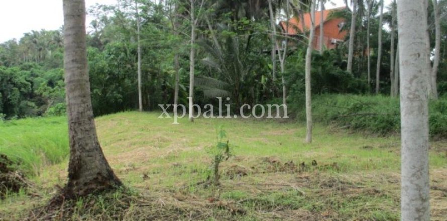 4175m2 Land in Gianyar, Bali (14006)