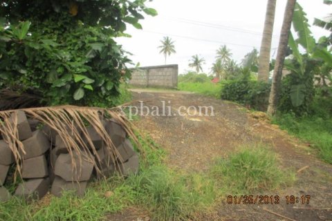 4175m2 Land in Gianyar, Bali (14006) 3