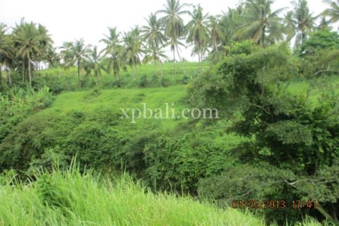 4175m2 Land in Gianyar, Bali (14006) 4