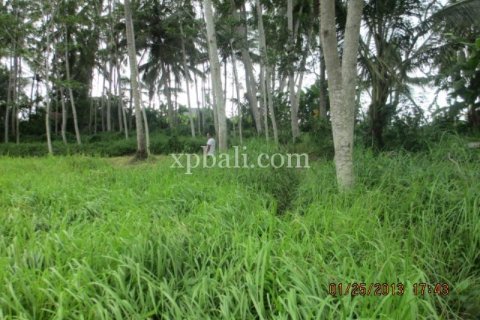 4175m2 Land in Gianyar, Bali (14006) 7