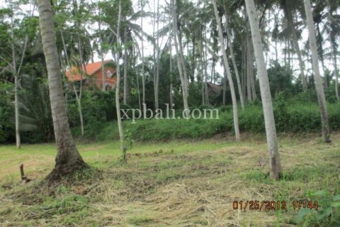 4175m2 Land in Gianyar, Bali (14006) 8