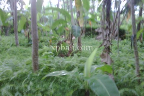 900m2 Land in Gianyar, Bali (14007) 7