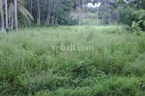 900m2 Land in Gianyar, Bali (14007) 3