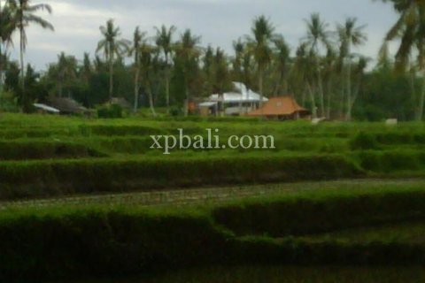 900m2 Land in Gianyar, Bali (14007) 2
