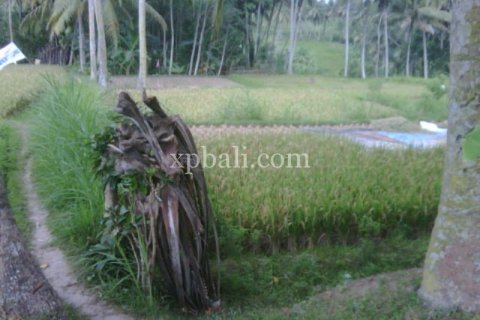 900m2 Land in Gianyar, Bali (14007) 4