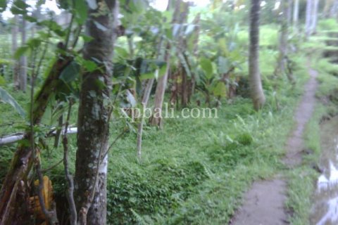 900m2 Land in Gianyar, Bali (14007)