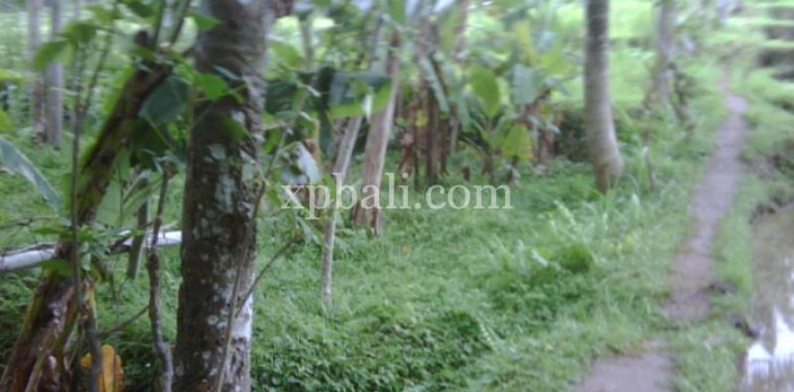 900m2 Land in Gianyar, Bali (14007)