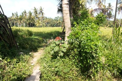 900m2 Land in Gianyar, Bali (14007) 5