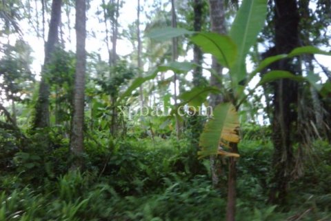 900m2 Land in Gianyar, Bali (14007) 6