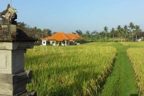 1 bedroom Villa in Gianyar, Bali (4766) 4