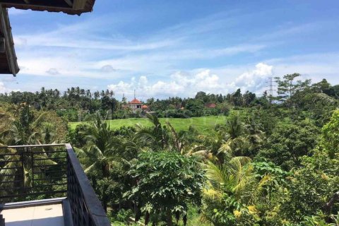 1 bedroom Villa in Gianyar, Bali (4767) 11