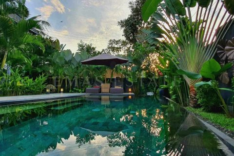 2 bedrooms Villa in Ubud, Gianyar, Bali (4765) 5
