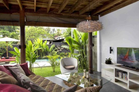 2 bedrooms Villa in Ubud, Gianyar, Bali (4765) 7