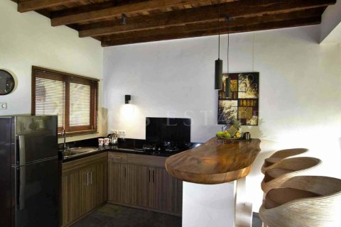 2 bedrooms Villa in Ubud, Gianyar, Bali (4765) 11