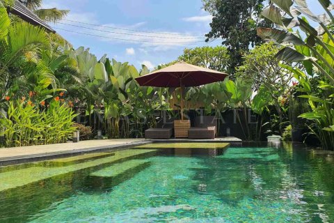 2 bedrooms Villa in Ubud, Gianyar, Bali (4765) 13