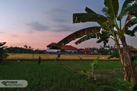 Vila 3 kamar tidur di Lovina, Anturan, Buleleng, Bali (9271)