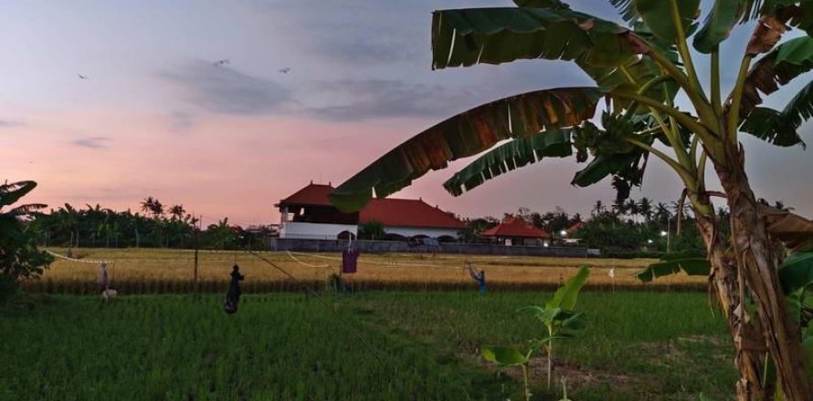 3 bedrooms Villa in Lovina, Anturan, Buleleng, Bali (9271)