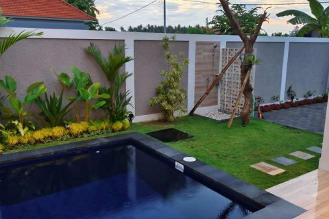 3 bedrooms Villa in Lovina, Anturan, Buleleng, Bali (9271) 8
