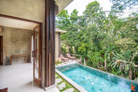 2 bedrooms Villa in Ubud, Gianyar, Bali (11593) 3