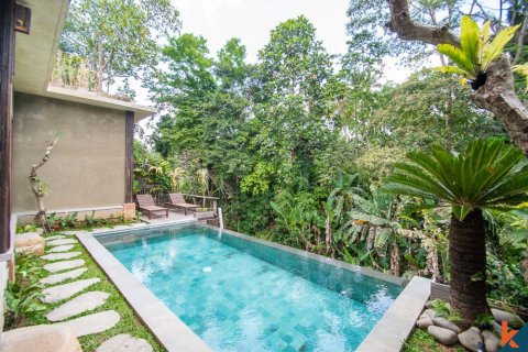 2 bedrooms Villa in Ubud, Gianyar, Bali (11593) 4
