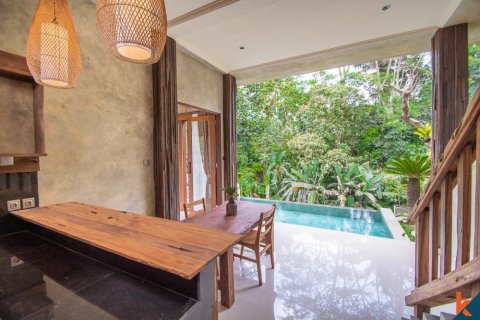 2 bedrooms Villa in Ubud, Gianyar, Bali (11593) 11