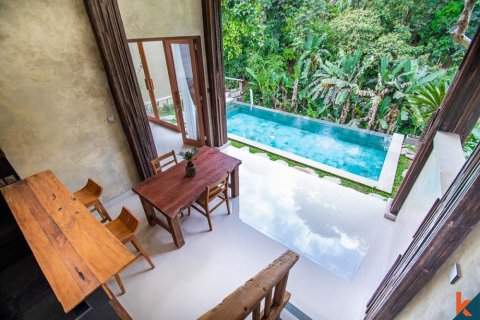 2 bedrooms Villa in Ubud, Gianyar, Bali (11593) 9