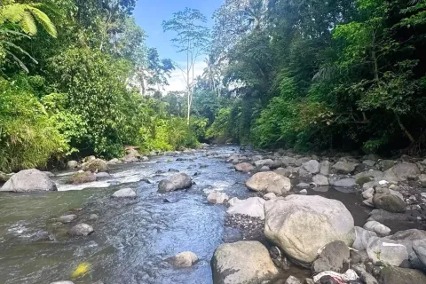 Land in Sidemen, Karang Asem, Bali (11418) 13