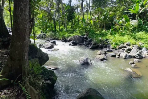 Land in Sidemen, Karang Asem, Bali (11418) 12