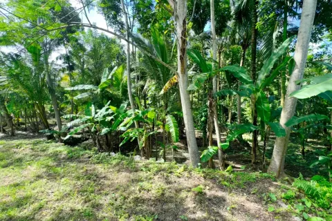 Land in Sidemen, Karang Asem, Bali (11418) 8
