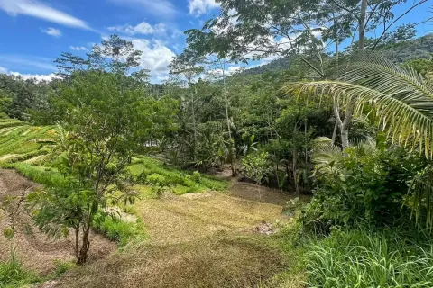 Land in Sidemen, Karang Asem, Bali (11418) 2