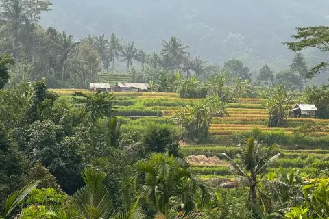 Land in Sidemen, Karang Asem, Bali (11418) 3