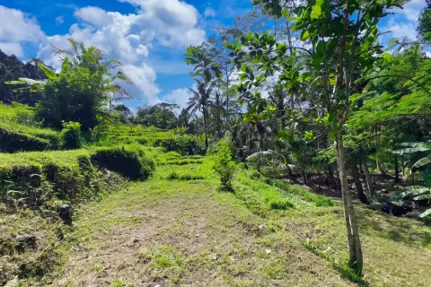 Land in Sidemen, Karang Asem, Bali (11418) 6