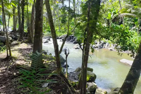 Land in Sidemen, Karang Asem, Bali (11418) 11
