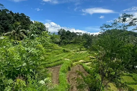Land in Sidemen, Karang Asem, Bali (11418) 5