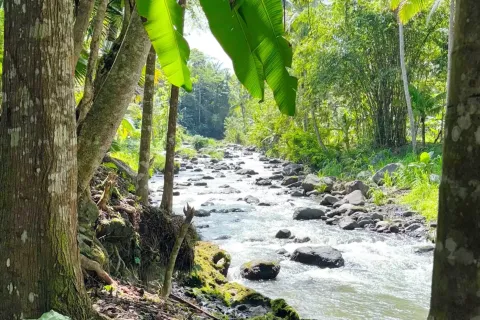 Land in Sidemen, Karang Asem, Bali (11418) 9
