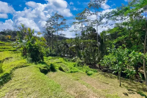 Land in Sidemen, Karang Asem, Bali (11418) 7