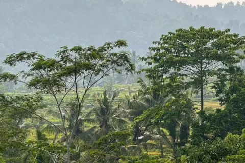 Land in Sidemen, Karang Asem, Bali (11418) 4