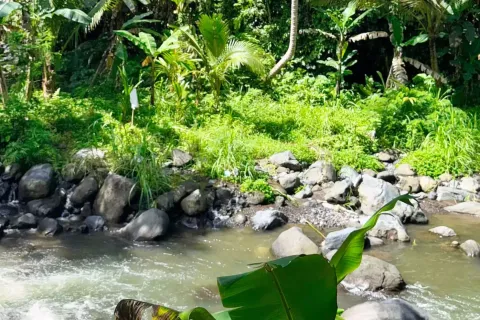 Land in Sidemen, Karang Asem, Bali (11418) 10