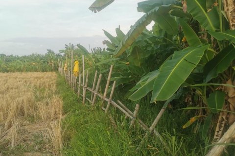Land in Kuta, Badung, Bali (11529) 3