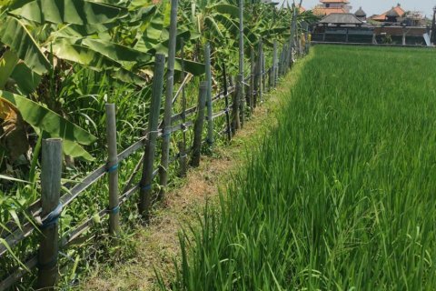 Land in Kuta, Badung, Bali (11529) 2